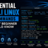 Essential Kali Linux commands every beginner should know displayed in a Kali Linux terminal, including ls, pwd, cd, sudo, and apt commands.